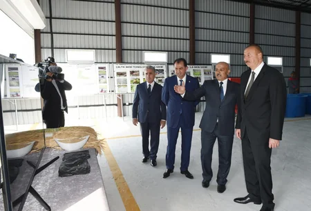 Prezident İlham Əliyev Lənkəranda çəltik zavodunun açılışını edib