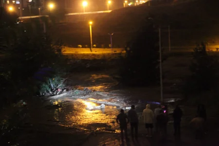 ​Tbilisidə zoopark dağılıb, heyvanlar şəhər küçələrinə axışıb - FOTO