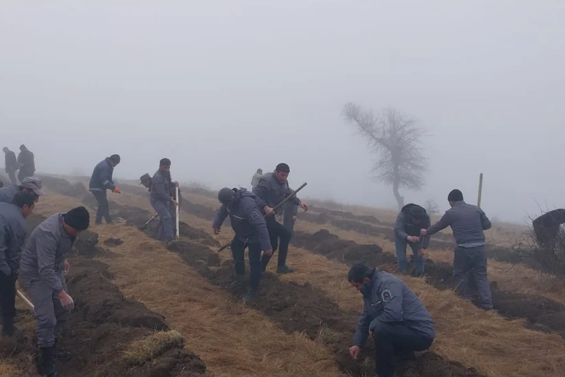 Ötən həftə ölkənin meşə fondu ərazilərində 140 minə yaxın ağac əkilib