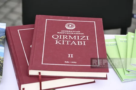 Azərbaycanın milli parklarının tanıtımı ilə bağlı hər ay tədbirlər keçiriləcək - YENİLƏNİB