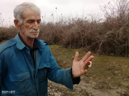 Hacıqabulda yırtıcı heyvan yerli sakinə hücum edərək ona xəsarət yetirib - FOTO