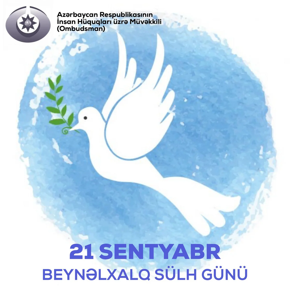 Azərbaycan Ombudsmanı beynəlxalq təşkilatlara müraciət edib