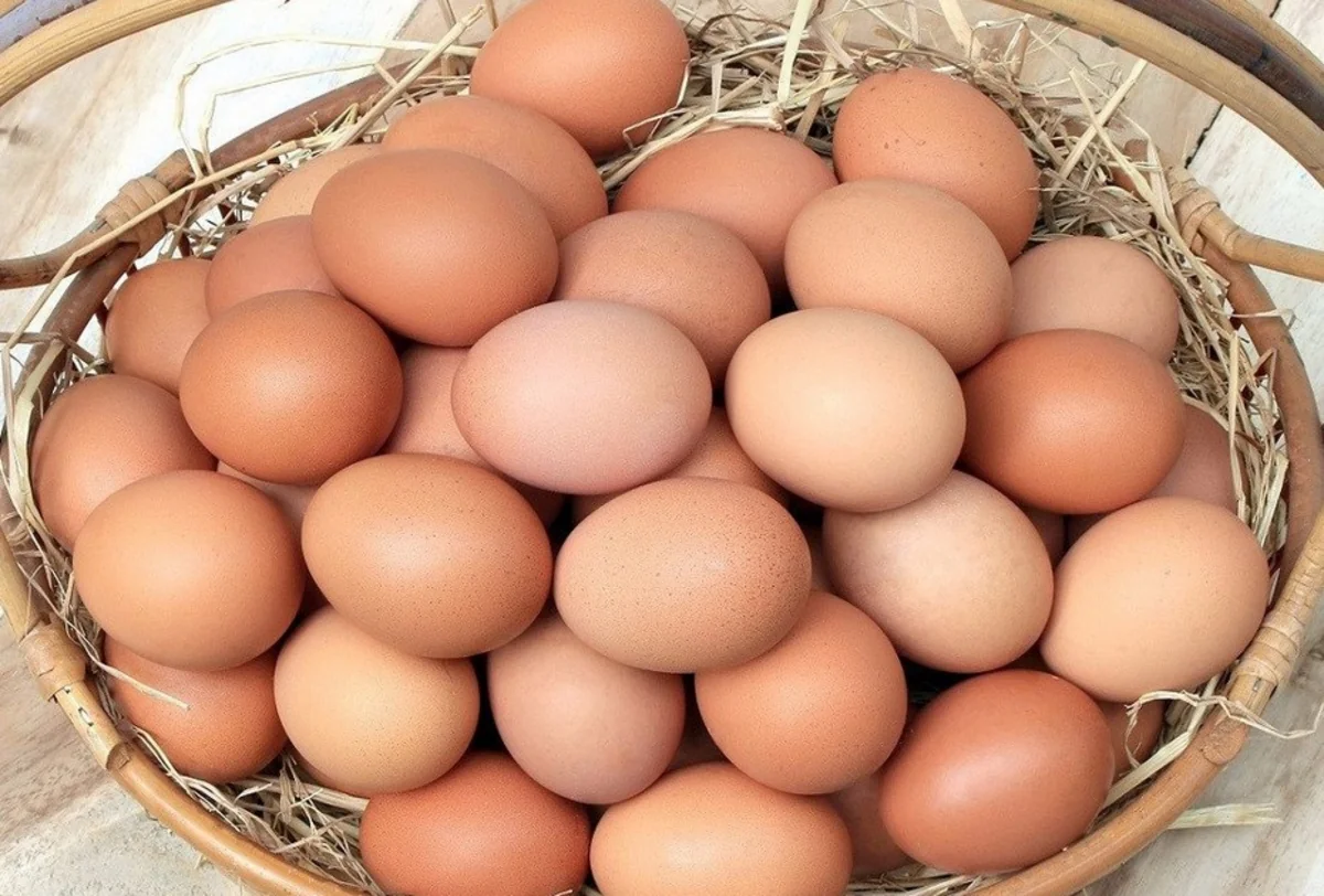 Azərbaycan BƏƏ-yə yumurta ixracını 27 dəfə artırıb