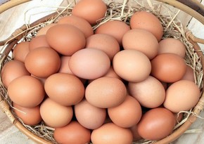 Azerbaijan starts selling eggs to Sierra Leone