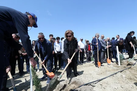 YAP Bakıda ağacəkmə aksiyası keçirib