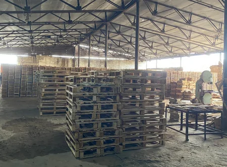 Xaçmazda qanunsuz ağac emal edən sexlər barədə araşdırma aparılır