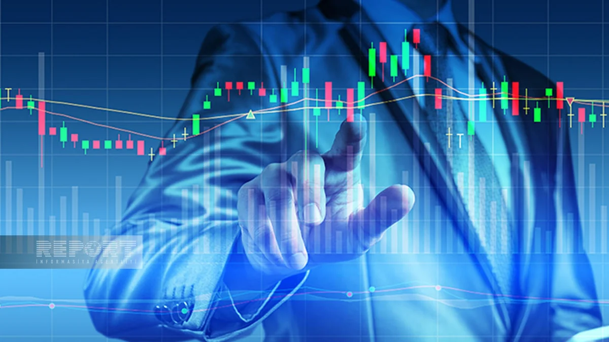 Bu il hansı maliyyə alətlərinə investisiya etmək sərfəli ola bilər?