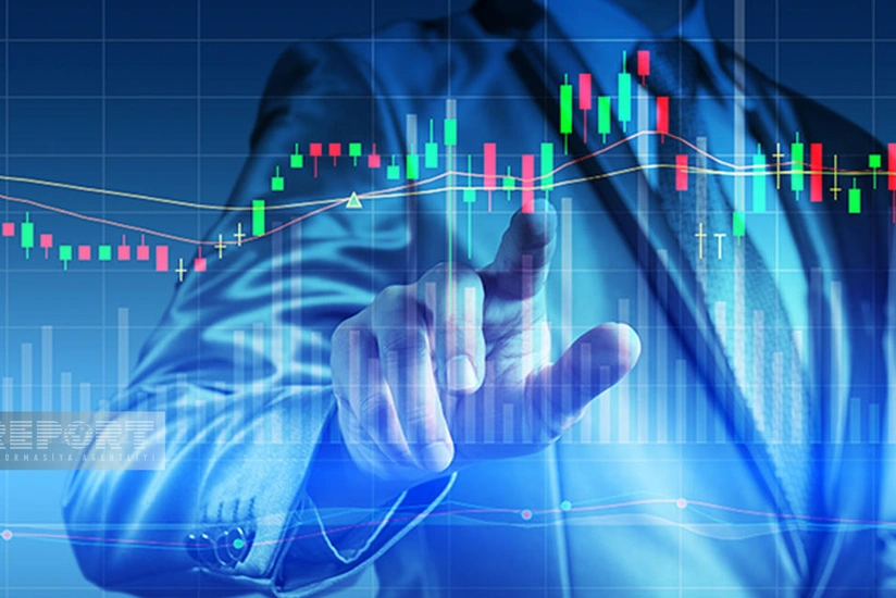 Bu il hansı maliyyə alətlərinə investisiya etmək sərfəli ola bilər?