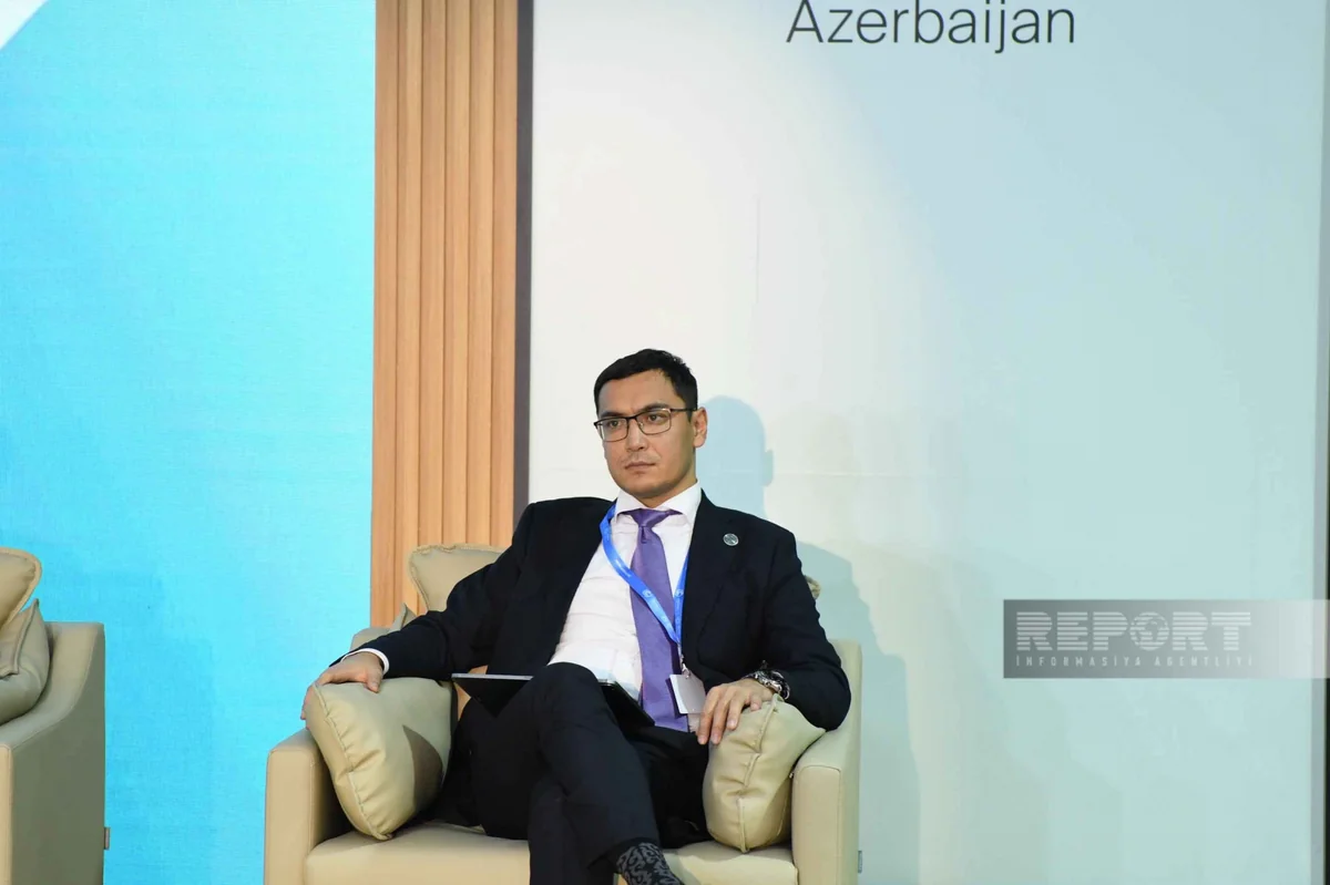 Mərkəzi Asiyada dayanıqlı yaşıl maliyyənin cəlbi ilə bağlı əsas maneələr açıqlanıb