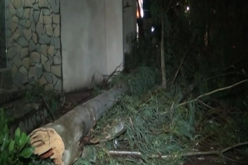 Mingəçevirdə həyətləri su basıb, ağaclar aşıb, 1 nəfər xəsarət alıb