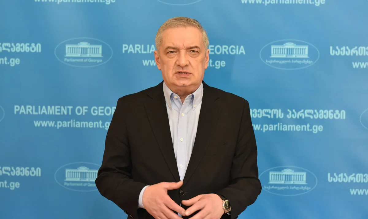 Gürcüstanın hakim partiyası Ermənistana hərbi sursatın çatdırılması məsələsinə münasibət bildirib