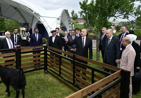 Azərbaycan və Türkiyə prezidentləri, Pakistanın Baş naziri Laçın şəhərində seyrəngahda olublar