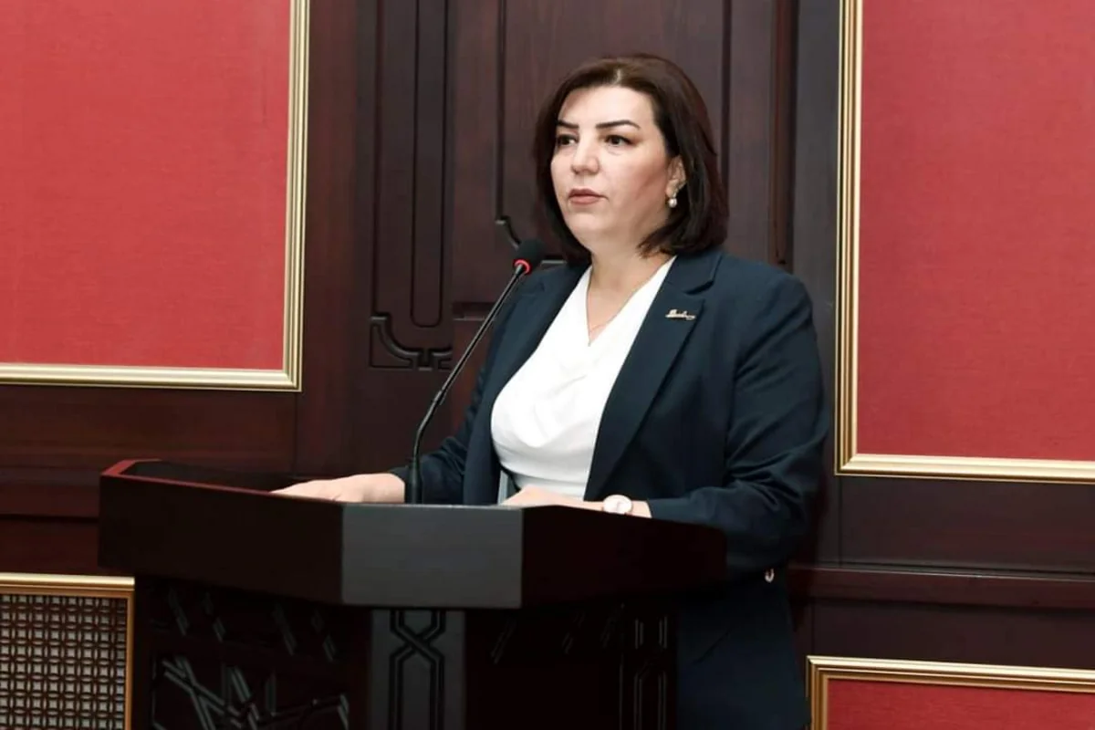 Naxçıvan Şəhər İcra Hakimiyyəti başçısının müavini işdən çıxarılıb