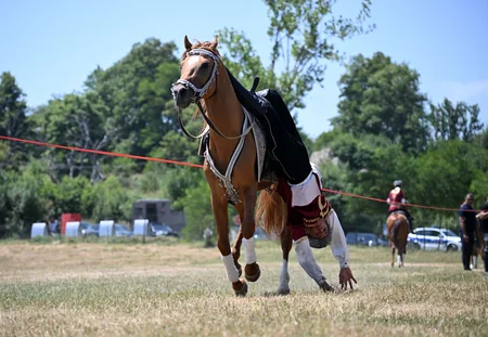 Karabakh horse named “Dostlug” presented to Gurbanguly Berdimuhamedov at Jidir Duzu plain
