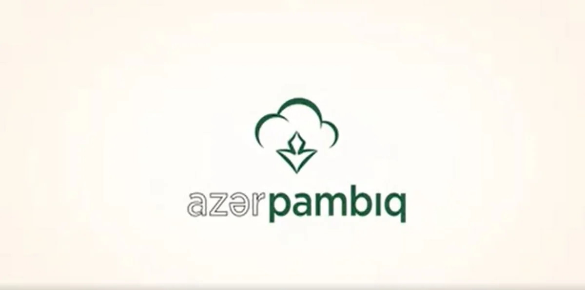 Bu il “Azərpambıq” gəlirlərini 98% artırıb