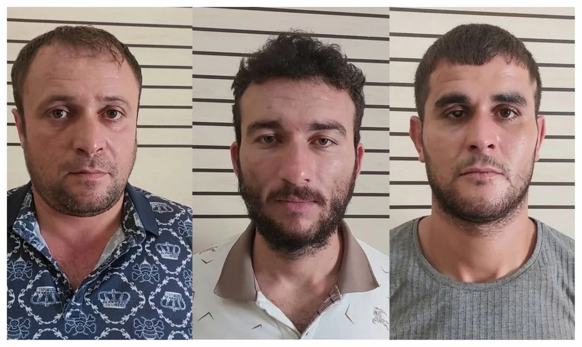 Masallıda oğurluğa görə 3 nəfər saxlanılıb