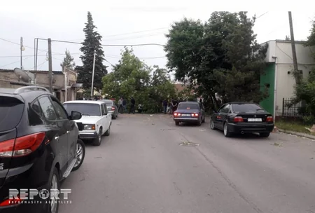 Güclü külək Şimal bölgəsində dağıntılar törədib - FOTO