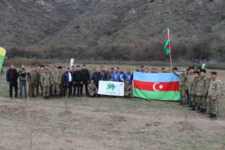 Laçında ağacəkmə aksiyası keçirilib