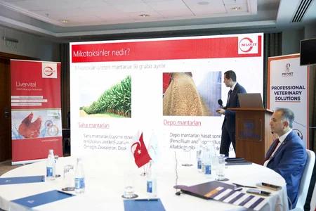 Azərbaycanın broyler şirkətləri quşçuluq problemlərini alman və türk mütəxəssislərlə müzakirə edib