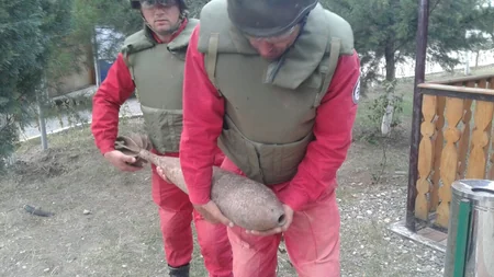 Ağstafada partlamamış minaatan mərmisi tapılıb