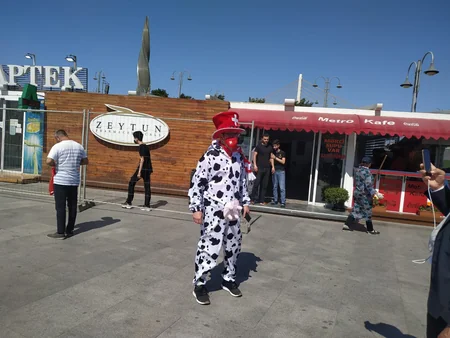 Uels və İsveçrə yığmalarının azarkeşləri BOS-da