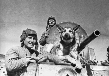 ​Информсовет СНГ представляет фотовыставку 70 лет Победы - ФОТО