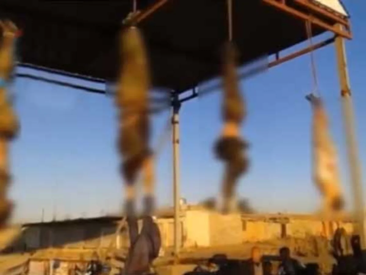İŞİD terrorçuları 19 suriyalını qurbanlıq heyvan şəklində qətlə yetiriblər