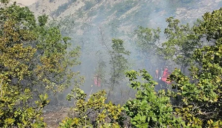 Xızıda dağlıq ərazidə yanğın olub