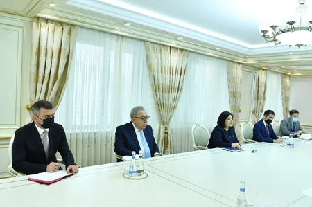 Azerbaijani parliament speaker meets UK PM trade envoy in Azerbaijan