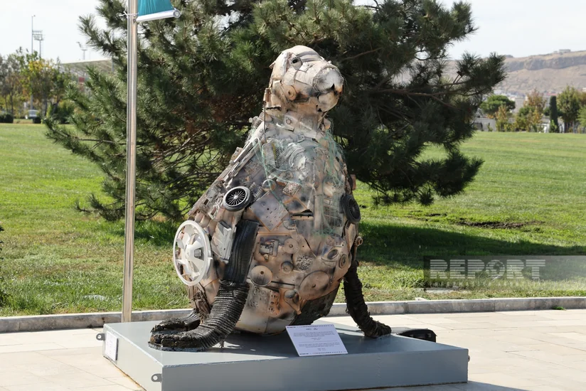 “Azərbaycan Xəzər Dəniz Gəmiçiliyi” “Art Plast” layihəsini təqdim edib