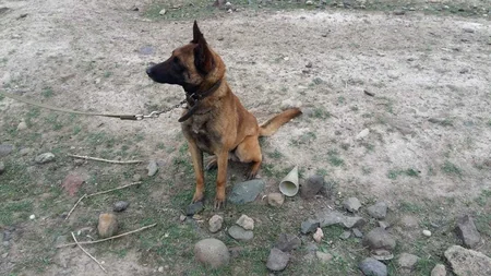 ANAMA mayda 285 partlamamış hərbi sursat zərərsizləşdirib