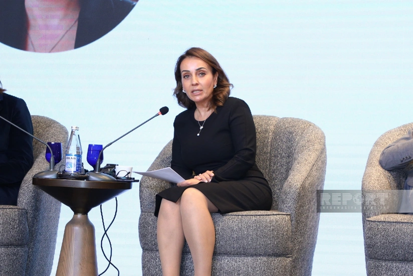 IFC reveals areas it finances in relation to sustainable development