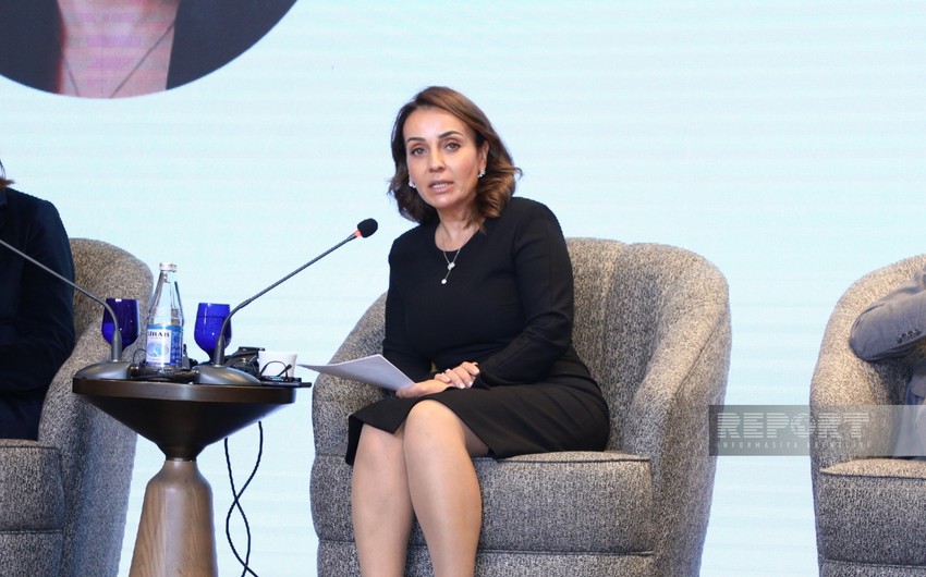 IFC reveals areas it finances in relation to sustainable development