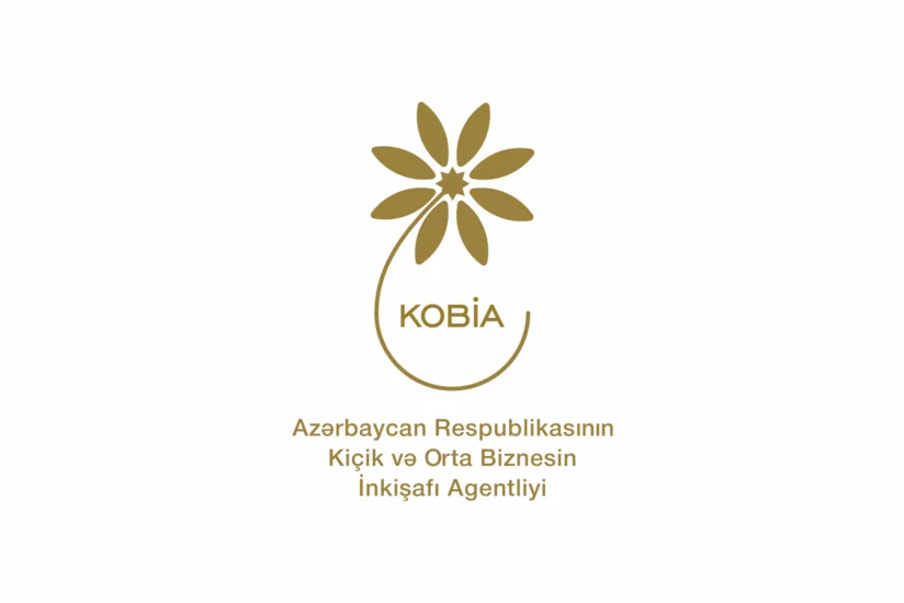 Будет сформирован новый состав Общественного совета при KOBİA