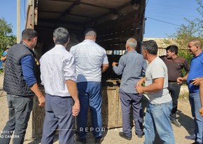 Cəbhədə qurbanlar kəsilib