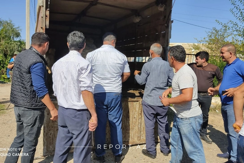 Cəbhədə qurbanlar kəsilib