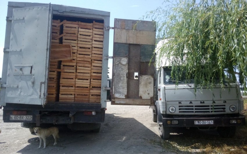 Azerbaijani products checked in Russian customs pose serious problems - PHOTO