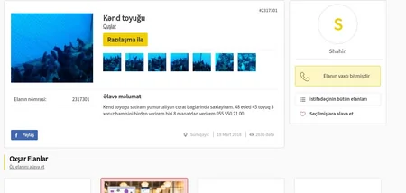 Nazirlik Azərbaycanda dələduzluqda şübhəli bilinən qardaşlarla bağlı məlumat yayıb