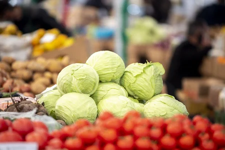 Bakıda və Abşeronda “Kənddən Şəhərə” Yeni il yarmarkaları başlayıb