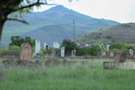 Where poppies bloom amid war scars: A journey through liberated villages of Gazakh