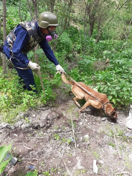 Göygöldə düşmən tərəfindən atıldığı ehtimal olunan top mərmisi tapılıb