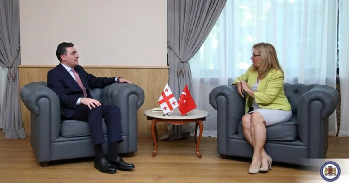 Gürcüstan XİN başçısı Türkiyə səfiri ilə vida görüşü keçirib