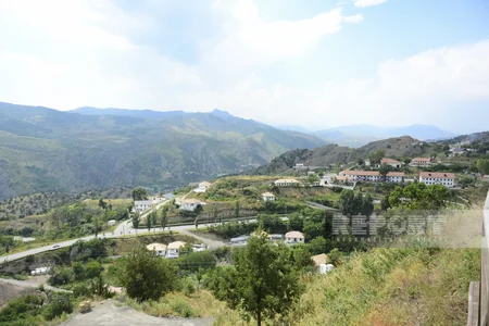 Laçına həyat qayıdır - REPORTAJ