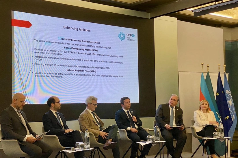 Ялчин Рафиев обсудил вопросы изменения климата на конференции в Брюсселе