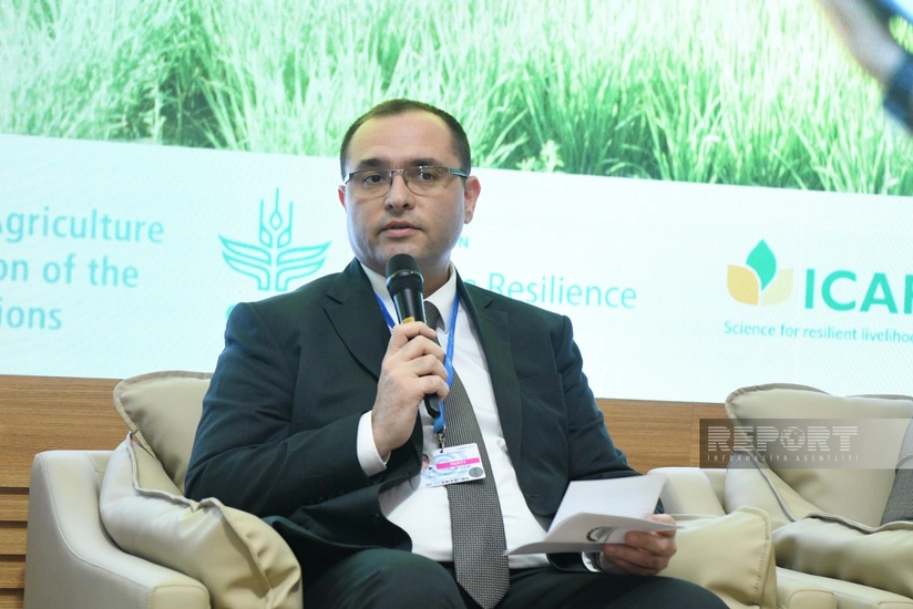 Majnun Mammadov: 'We will launch Harmoniya initiative to support farmers within COP29'
