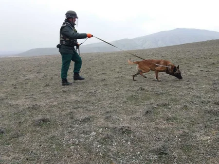 Qaradağda mina hadisəsi baş verib, 1 nəfər xəsarət alıb