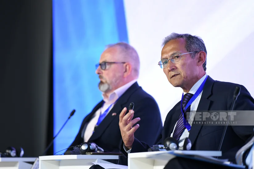 Экс-премьер Кыргызстана: Мины препятствуют безопасному возвращению на освобожденные территории Азербайджана