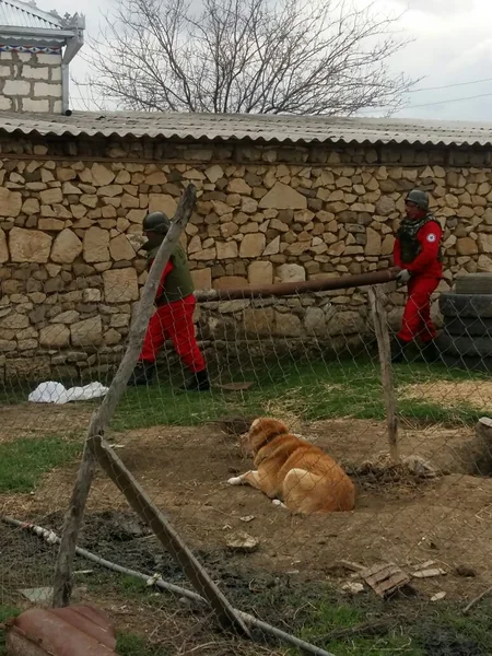 Ağstafa sakininin həyətindən 12 ədəd raket tapılıb