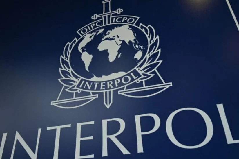 В ходе операции Интерпола против кибермошенников задержали около 1 тыс. человек
