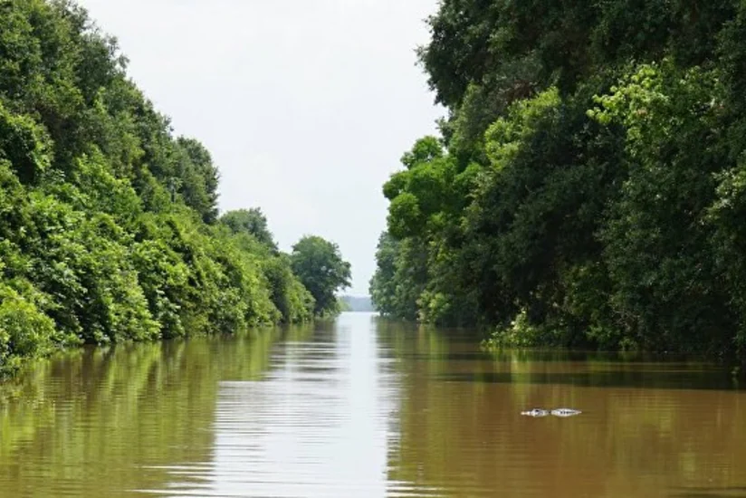​ABŞ-ın Texas ştatında daşqınlar 12 nəfərin həyatına son qoyub